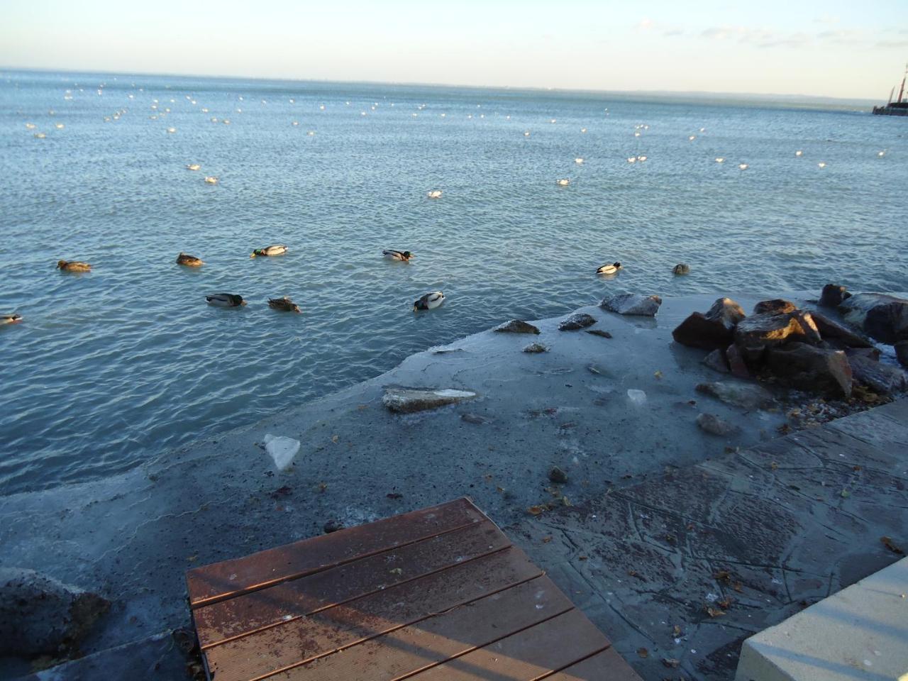 Kék Lagúna Vendégház Balatonfüred Extérieur photo